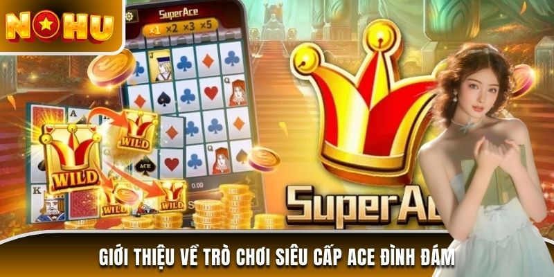 Giới thiệu về trò chơi Siêu cấp ACE đình đám