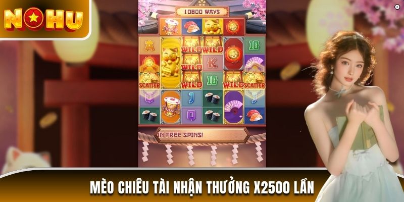 Mèo Chiêu Tài nhận thưởng x2500 lần